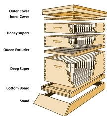 parts-of-a-beehive